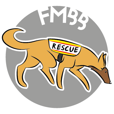 FMBB