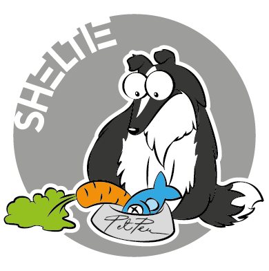 Sheltie