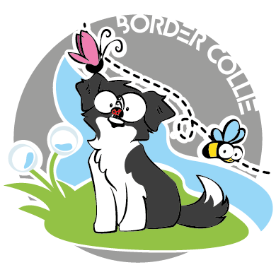 Border collie