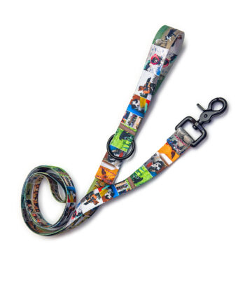 Sima póráz - Fényképes