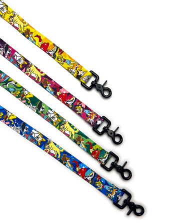 Sima póráz - DogDancing