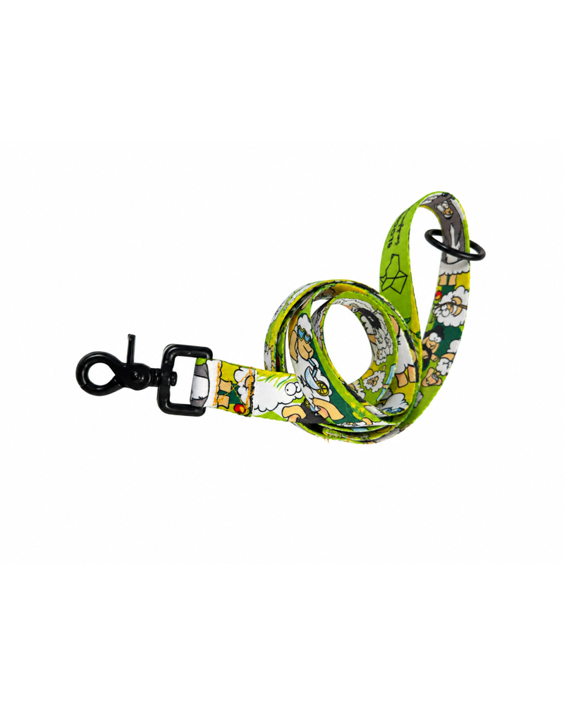 baranyos-poraz-zold-9557-800x1000